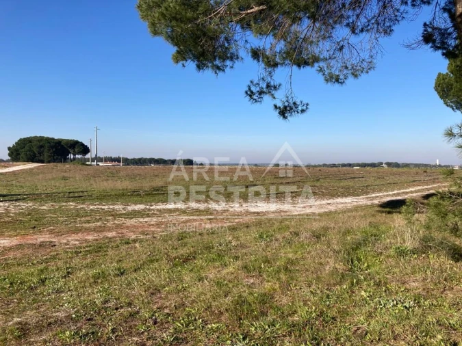 Terreno para Venda em Pegões Foto 1