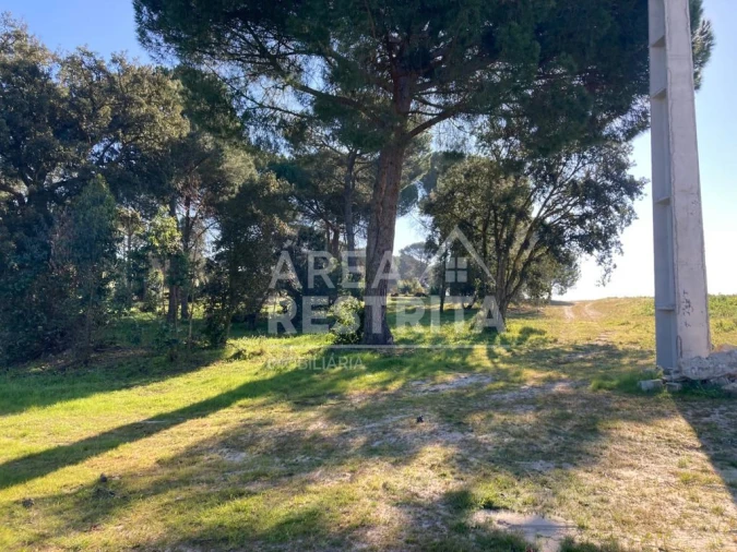 Terreno para Venda em Pegões Foto 12