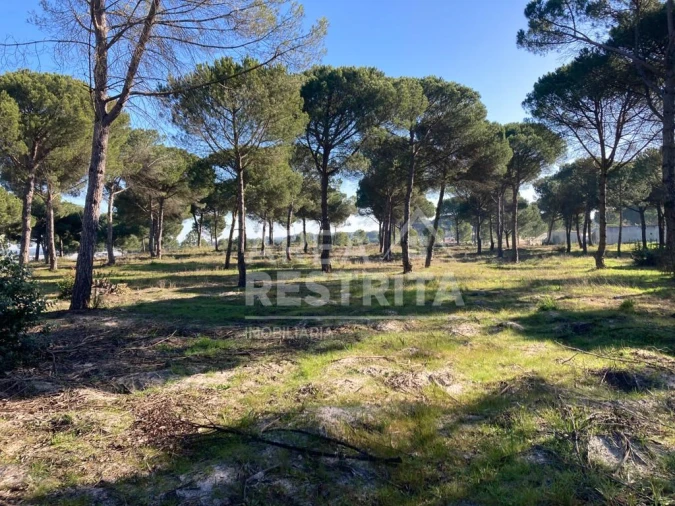 Terreno para Venda em Pegões Foto 16
