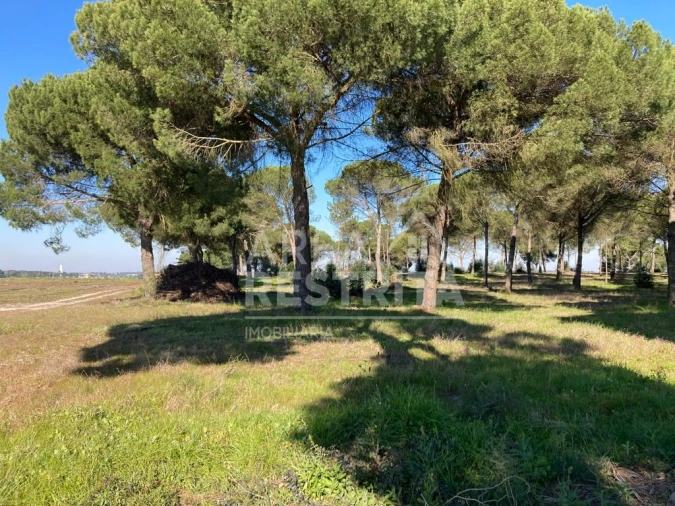 Terreno para Venda em Pegões Foto 27