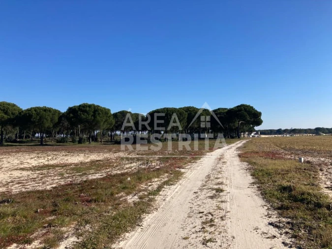 Terreno para Venda em Pegões Foto 29