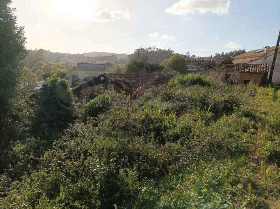 Moradia T1 para Venda em Ossela Foto 17