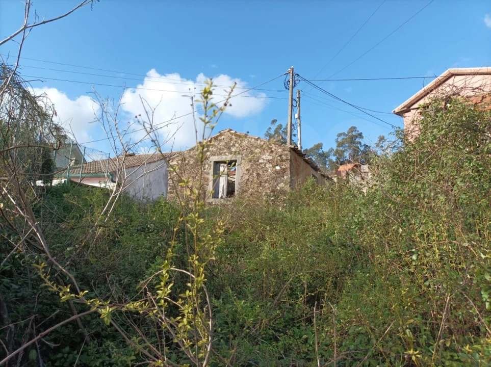 Moradia T1 para Venda em Ossela Foto 15