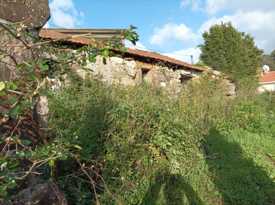 Moradia T1 para Venda em Ossela Foto 16