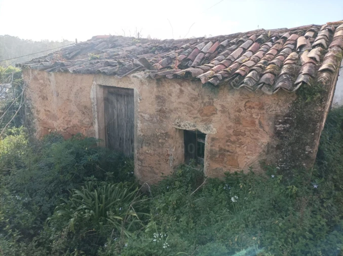 Moradia T1 para Venda em Ossela Foto 11