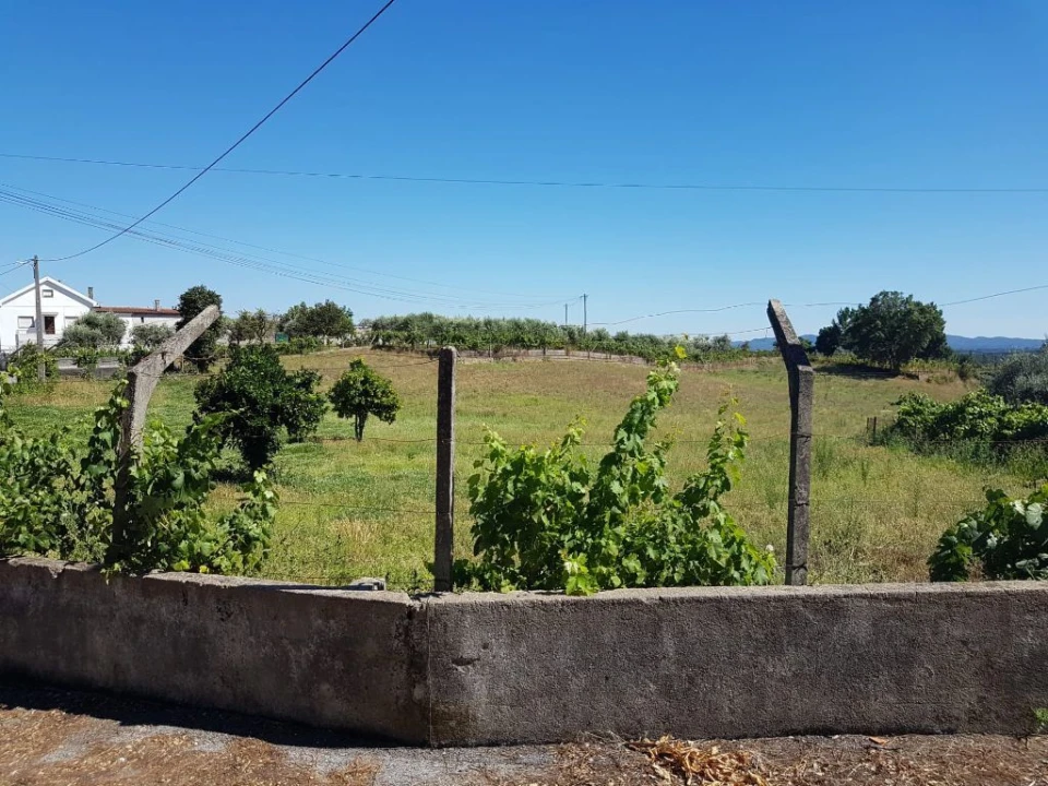 Terreno Agricola ou Rústico para Venda em Cabeçudo Foto 2