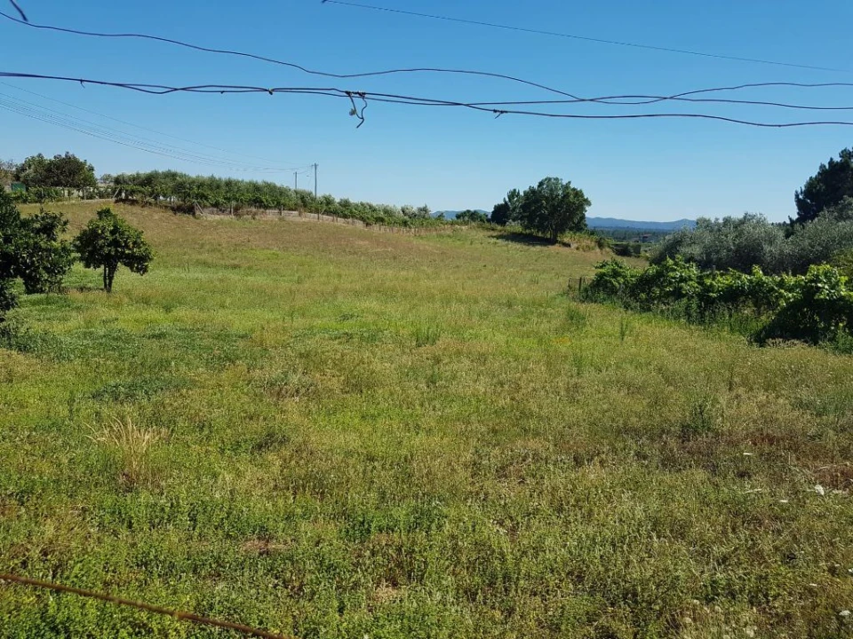 Terreno Agricola ou Rústico para Venda em Cabeçudo Foto 5