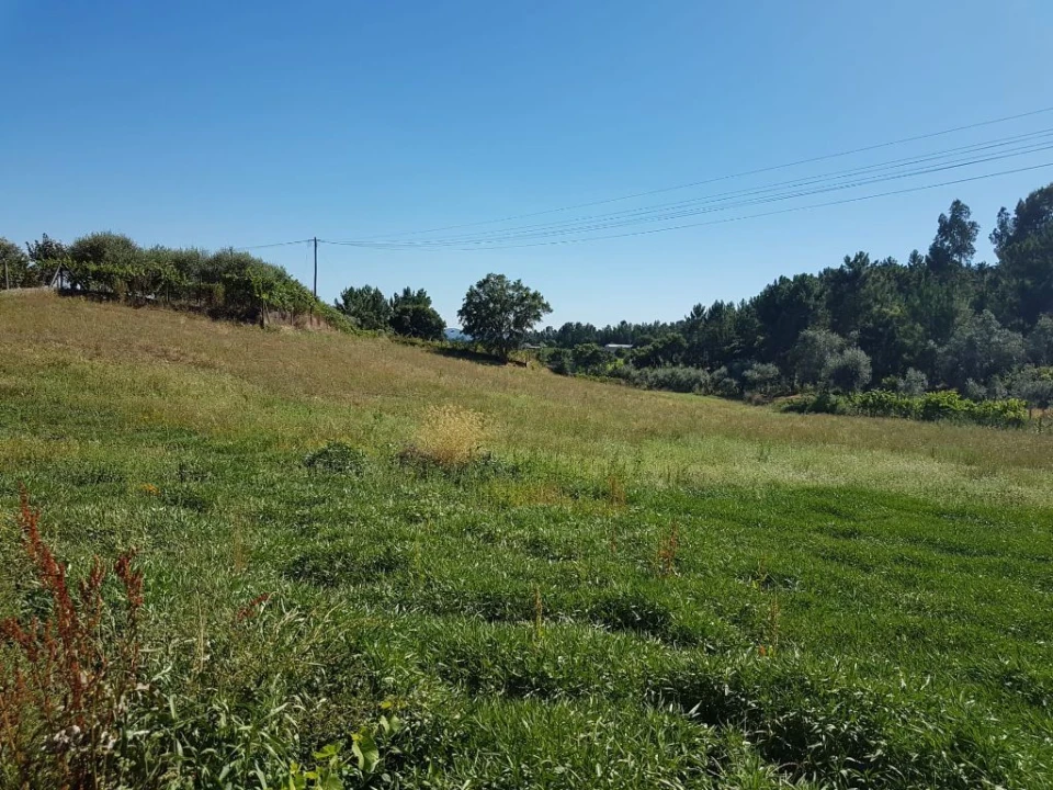 Terreno Agricola ou Rústico para Venda em Cabeçudo Foto 9