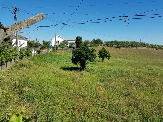 Terreno Agricola ou Rústico para Venda em Cabeçudo Foto 4