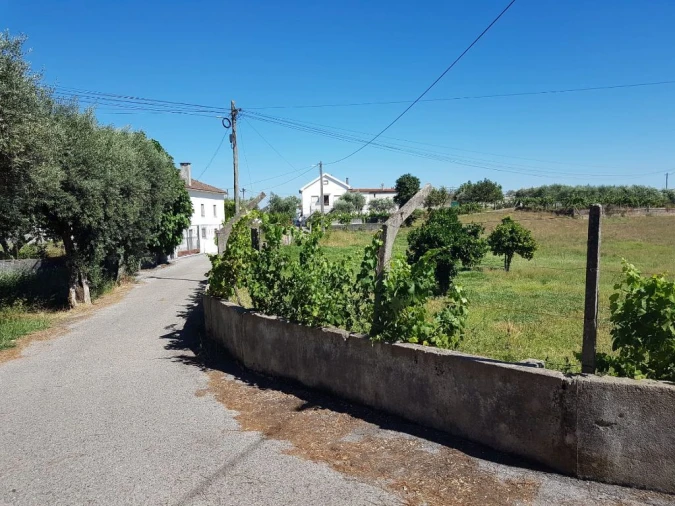Terreno Agricola ou Rústico para Venda em Cabeçudo Foto 6