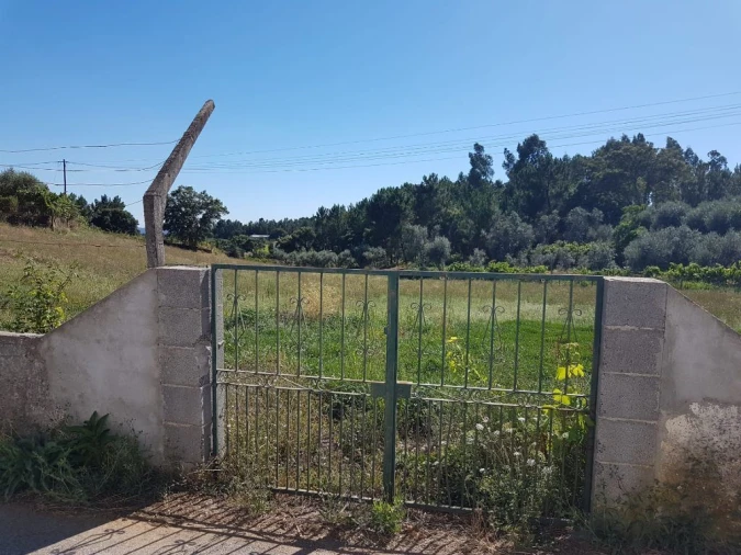 Terreno Agricola ou Rústico para Venda em Cabeçudo Foto 7