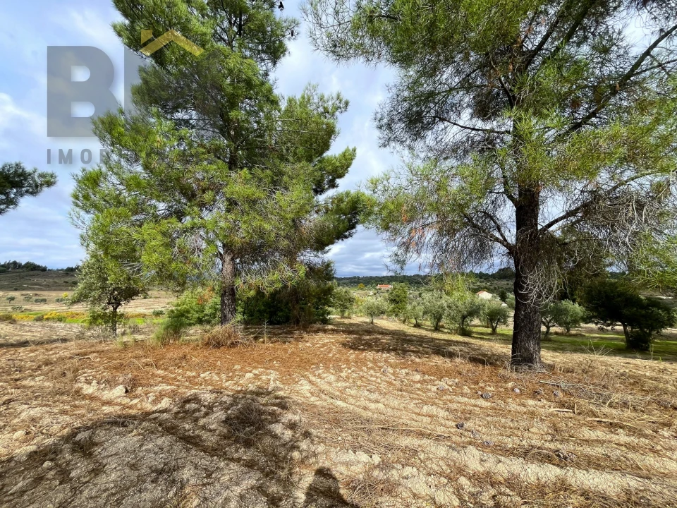 Quinta T0 para Venda em São Miguel de Acha Foto 21