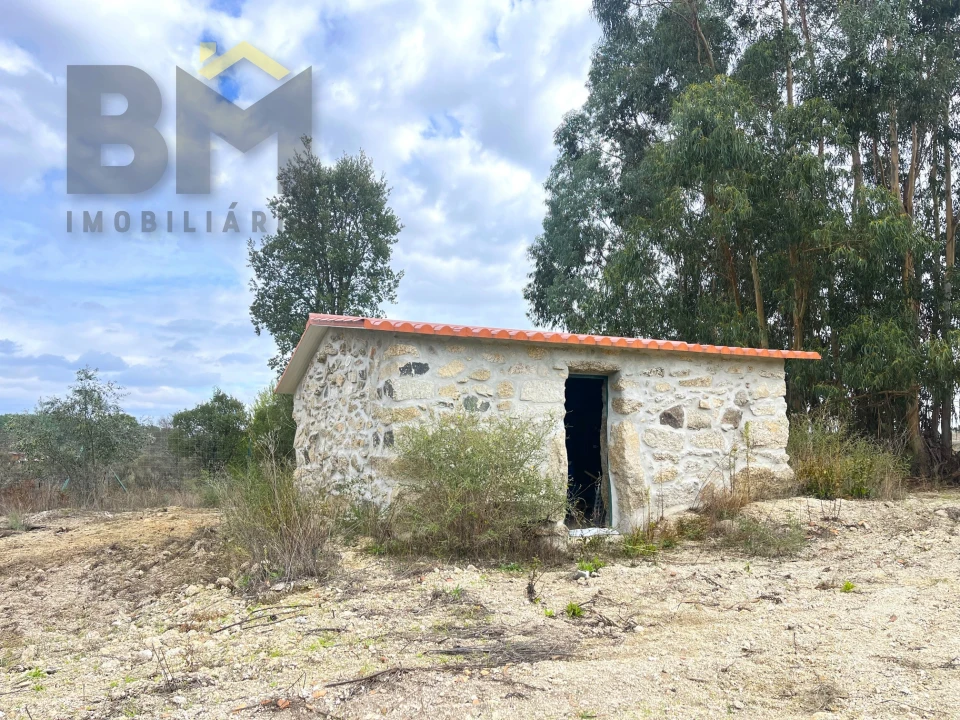 Quinta T0 para Venda em São Miguel de Acha Foto 4