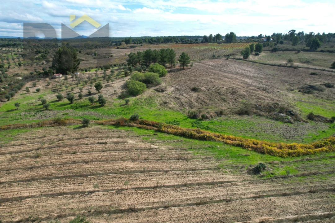 Quinta T0 para Venda em São Miguel de Acha Foto 23