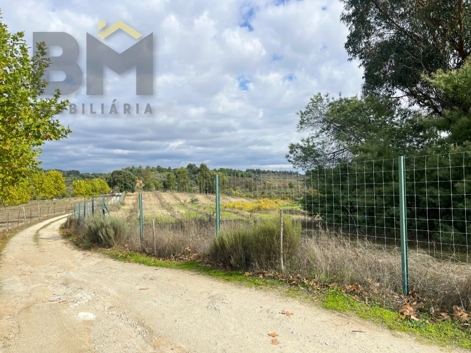 Quinta T0 para Venda em São Miguel de Acha Foto 24