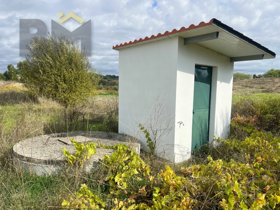 Quinta T0 para Venda em São Miguel de Acha Foto 12