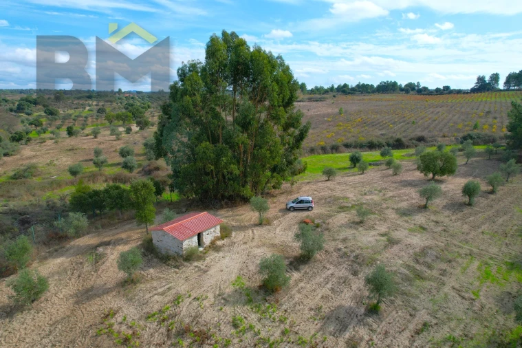 Quinta T0 para Venda em São Miguel de Acha Foto 1