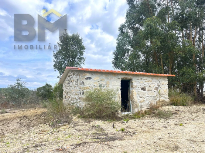 Quinta T0 para Venda em São Miguel de Acha Foto 4