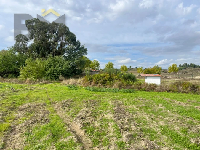 Quinta T0 para Venda em São Miguel de Acha Foto 10