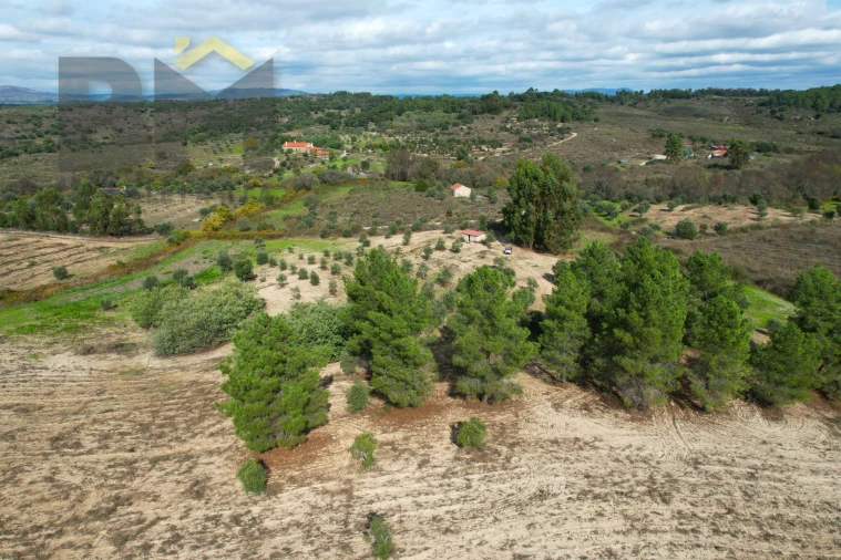 Quinta T0 para Venda em São Miguel de Acha Foto 20