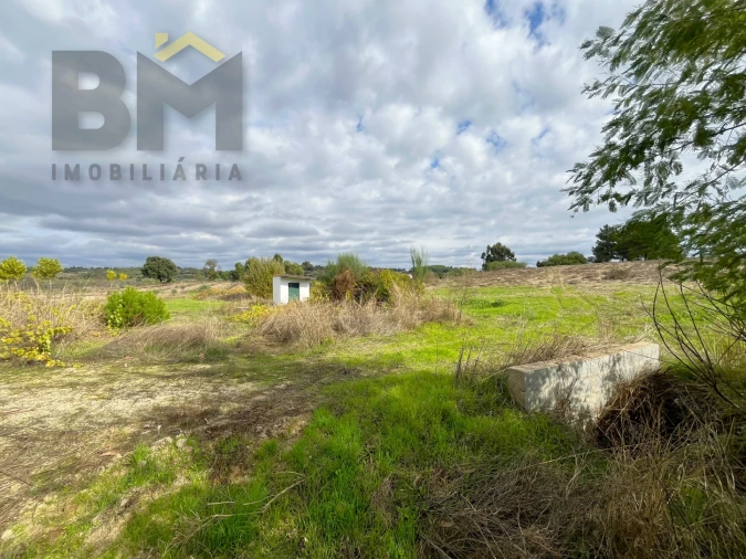 Quinta T0 para Venda em São Miguel de Acha Foto 9