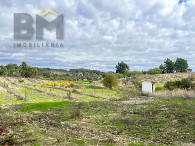 Quinta T0 para Venda em São Miguel de Acha Foto 11