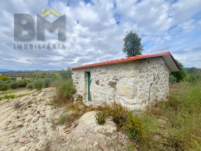 Quinta T0 para Venda em São Miguel de Acha Foto 3