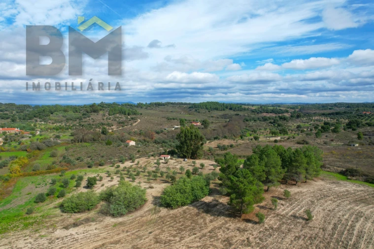 Quinta T0 para Venda em São Miguel de Acha Foto 8