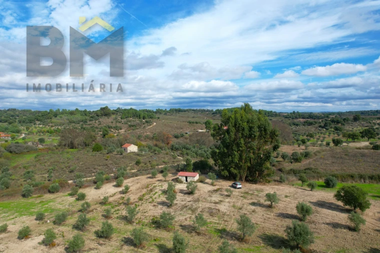 Quinta T0 para Venda em São Miguel de Acha Foto 7