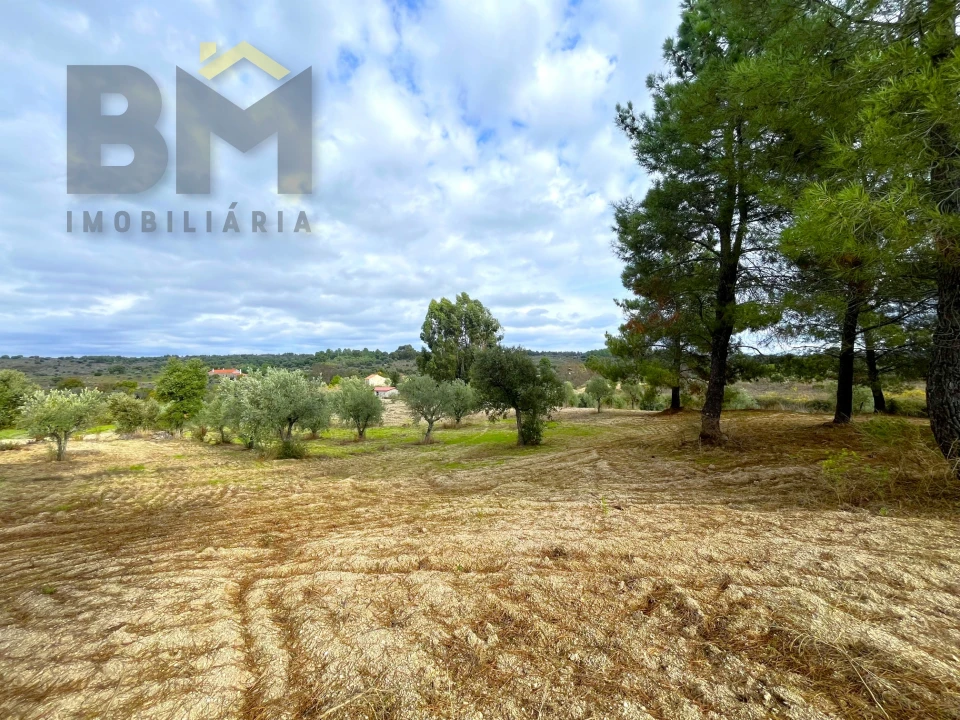 Quinta T0 para Venda em São Miguel de Acha Foto 19