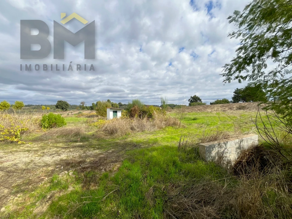 Quinta T0 para Venda em São Miguel de Acha Foto 9