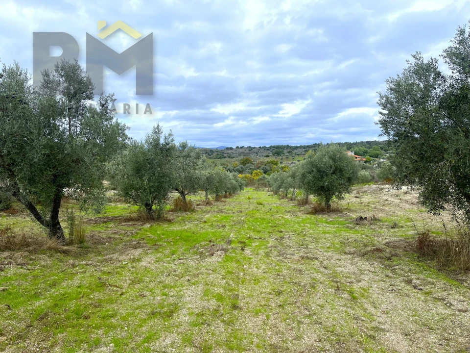 Quinta T0 para Venda em São Miguel de Acha Foto 17