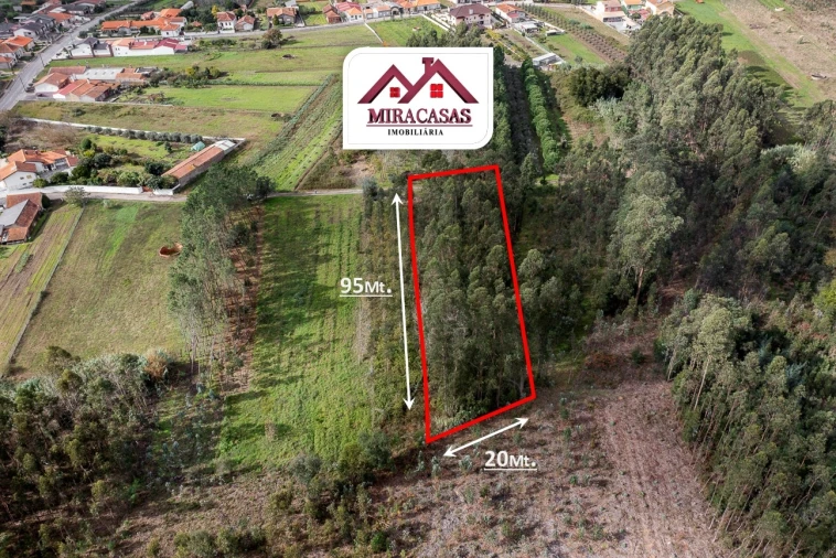 Moradia T1 para Venda em Covões e Camarneira Foto 2