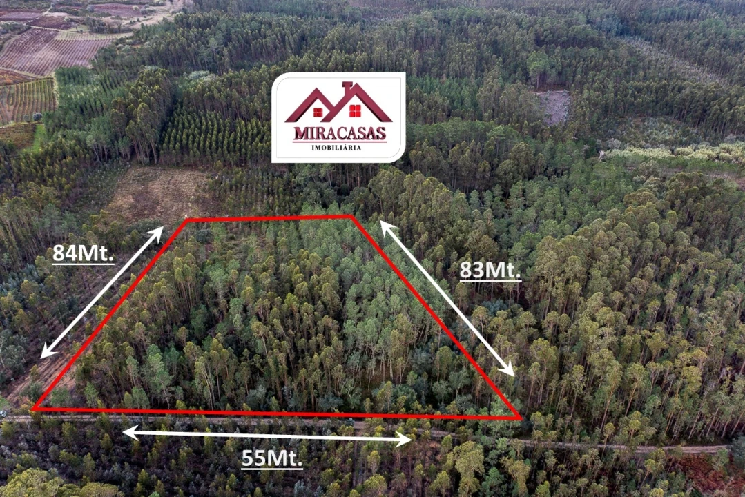 Terreno Agricola ou Rústico para Venda em Cantanhede e Pocariça Foto 2