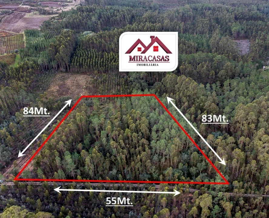 Terreno Agricola ou Rústico para Venda em Cantanhede e Pocariça Foto 1