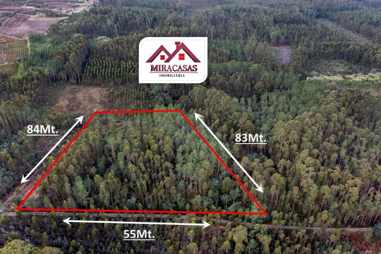 Terreno Agricola ou Rústico para Venda em Cantanhede e Pocariça Foto 2