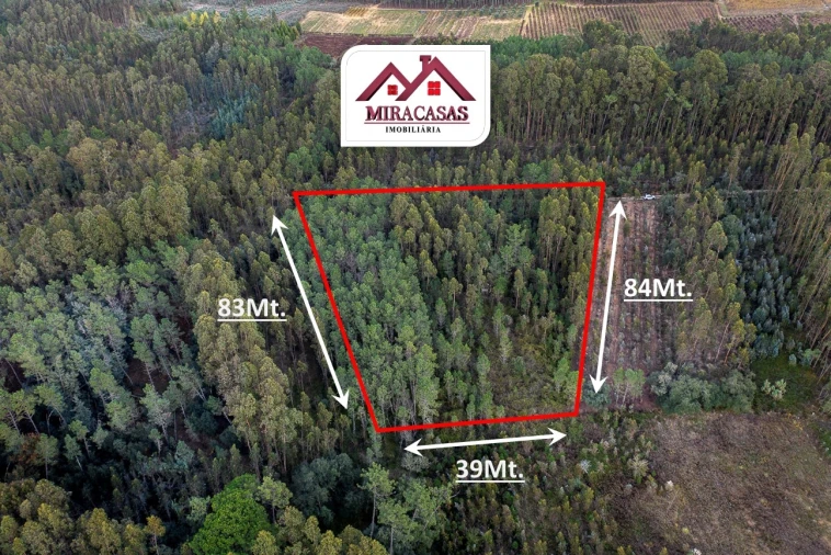 Terreno Agricola ou Rústico para Venda em Cantanhede e Pocariça Foto 4