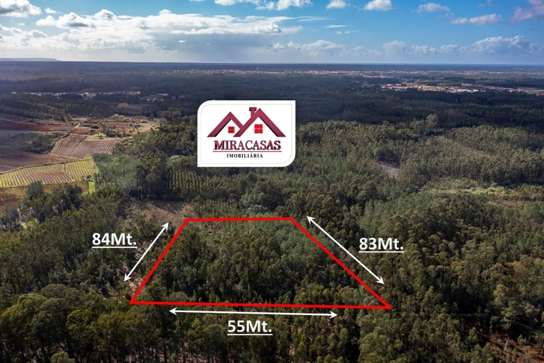 Terreno Agricola ou Rústico para Venda em Cantanhede e Pocariça Foto 3