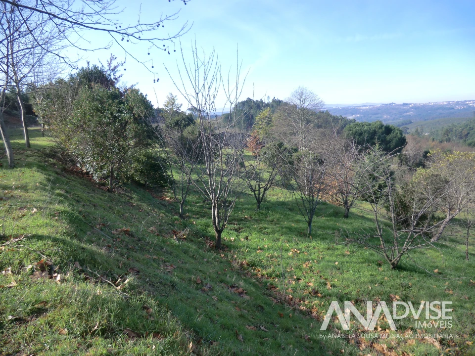 Quinta T0 para Venda em Mangualde, Mesquitela e Cunha Alta Foto 11