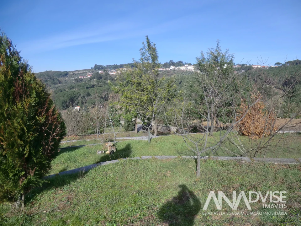Quinta T0 para Venda em Mangualde, Mesquitela e Cunha Alta Foto 14