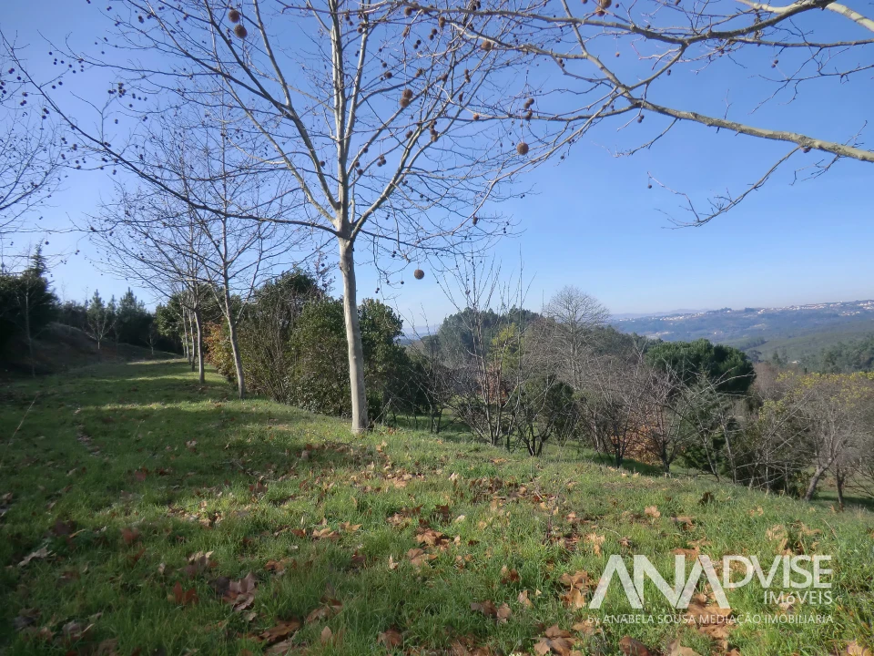 Quinta T0 para Venda em Mangualde, Mesquitela e Cunha Alta Foto 10