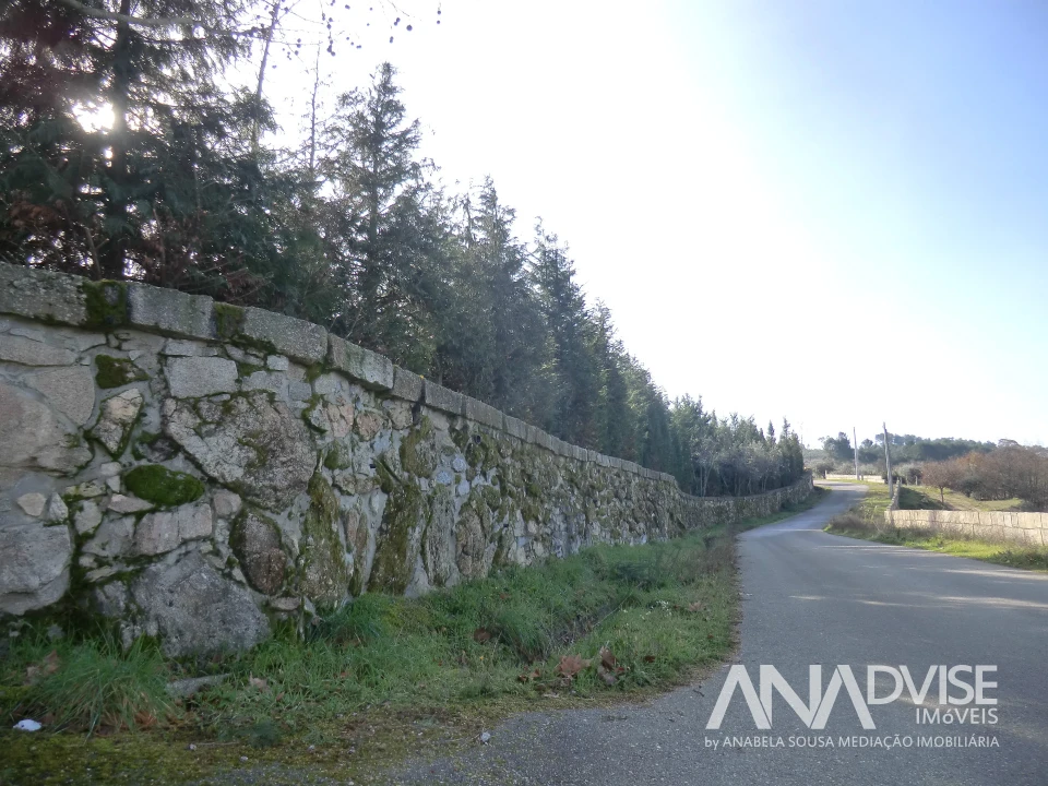 Quinta T0 para Venda em Mangualde, Mesquitela e Cunha Alta Foto 2