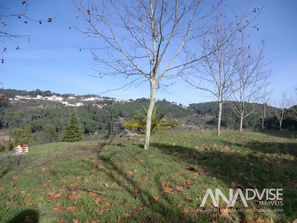 Quinta T0 para Venda em Mangualde, Mesquitela e Cunha Alta Foto 9