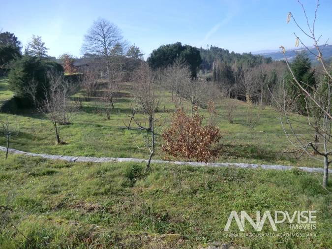 Quinta T0 para Venda em Mangualde, Mesquitela e Cunha Alta Foto 4