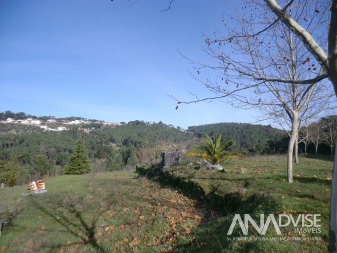 Quinta T0 para Venda em Mangualde, Mesquitela e Cunha Alta Foto 12