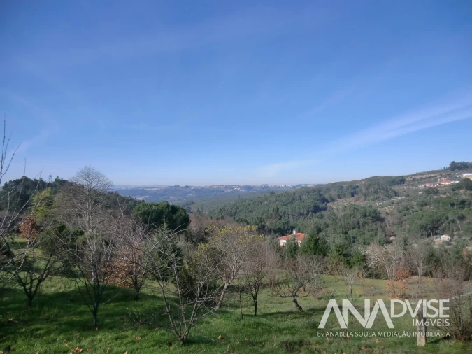 Quinta T0 para Venda em Mangualde, Mesquitela e Cunha Alta Foto 13