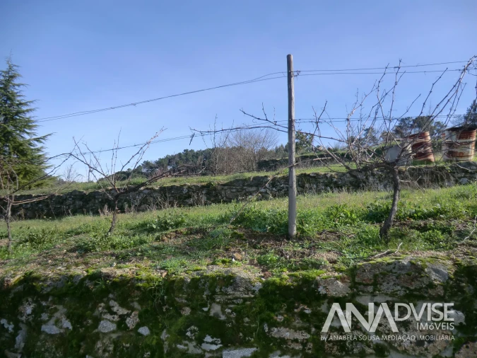 Quinta T0 para Venda em Mangualde, Mesquitela e Cunha Alta Foto 5