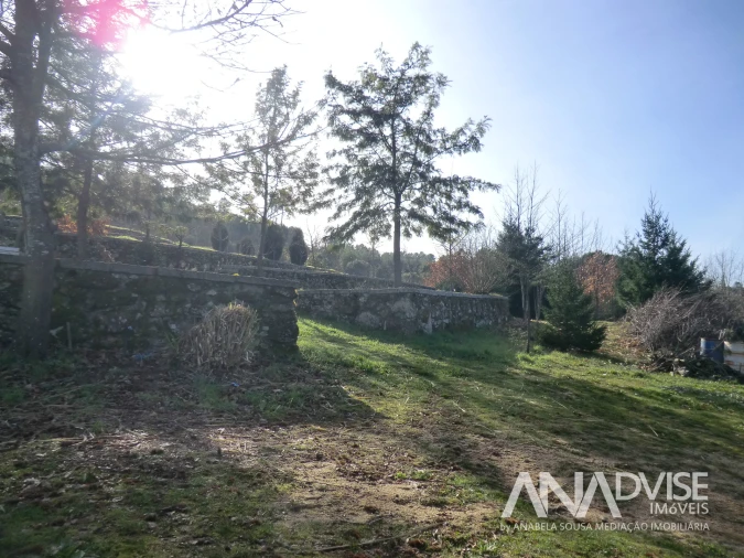 Quinta T0 para Venda em Mangualde, Mesquitela e Cunha Alta Foto 6