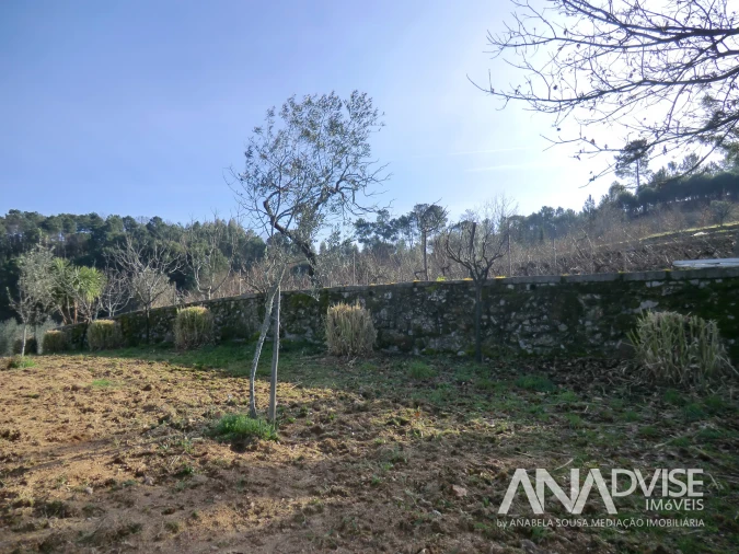 Quinta T0 para Venda em Mangualde, Mesquitela e Cunha Alta Foto 8