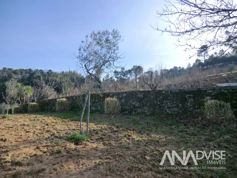 Quinta T0 para Venda em Mangualde, Mesquitela e Cunha Alta Foto 8